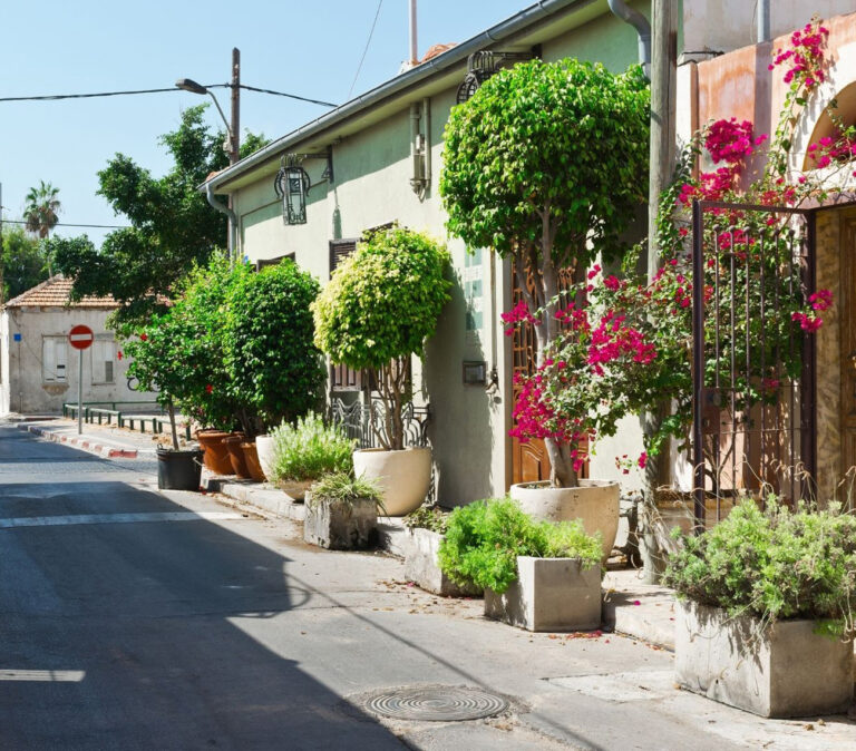 Neve Tzedek