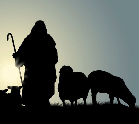 Słowo na niedzielę: Dobry Pasterz