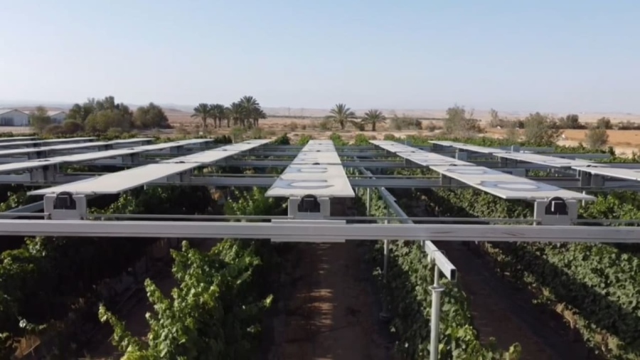 Od pustyni do centrum innowacji. Jak Negew stał się technologiczną potęgą Izraela